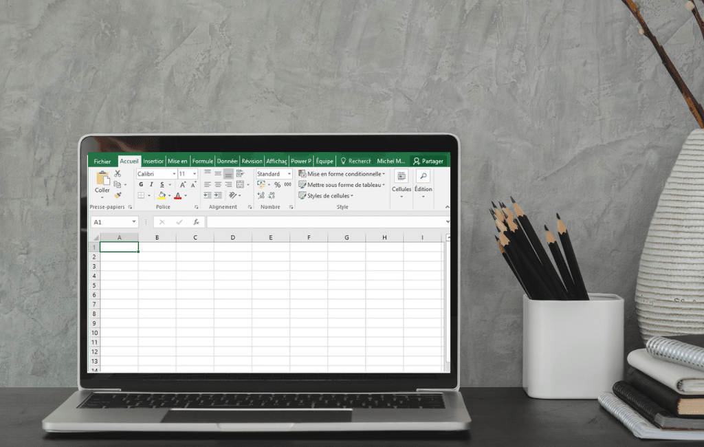 maitrise du pack office et d'excel