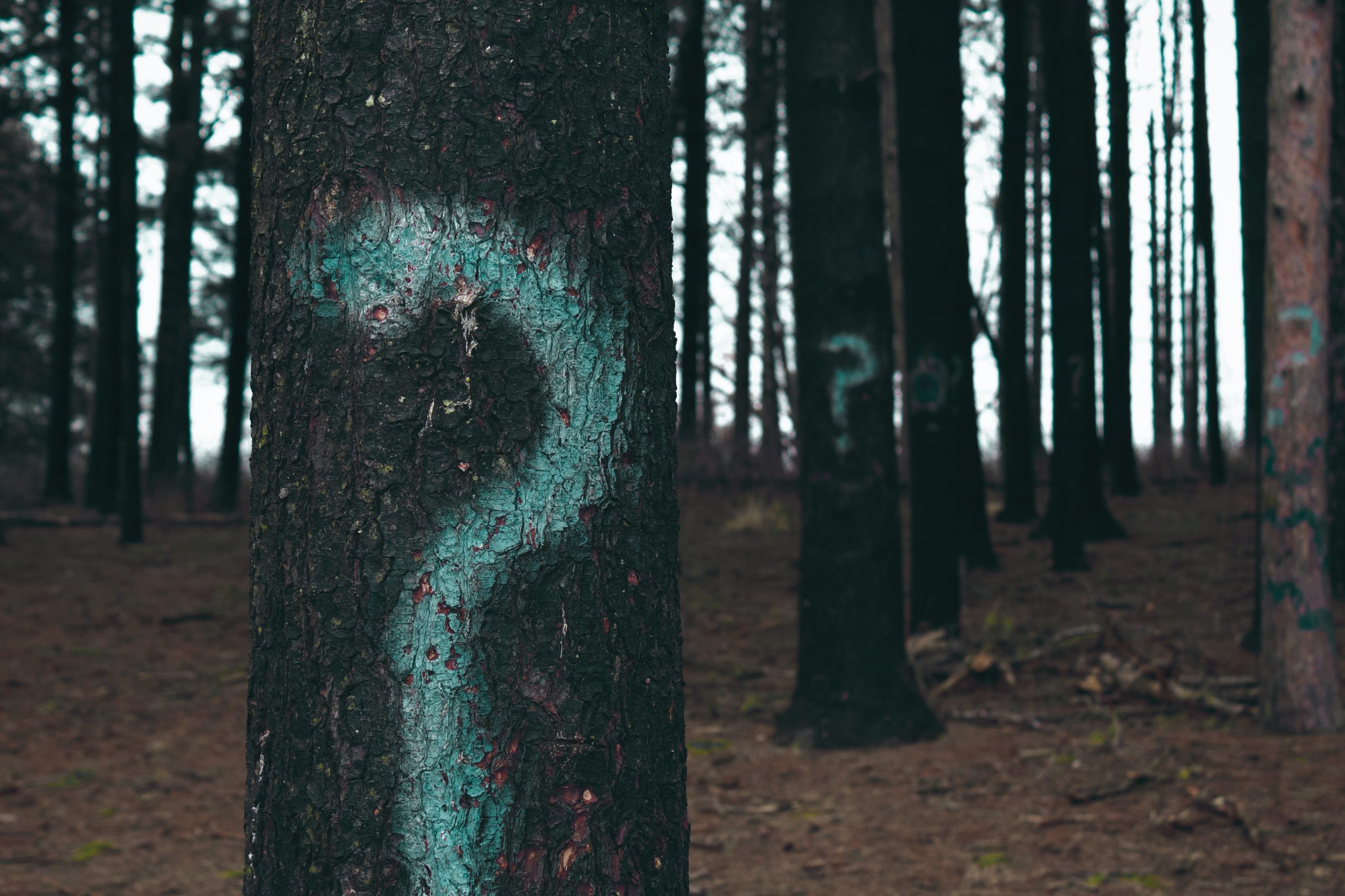 trouver son chemin grâce à l’orientation pour adultes